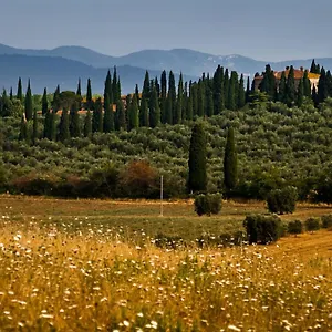 Tenuta Di Poggio Cavallo , Istia dʼOmbrone Italia
